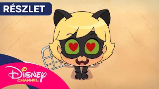 🐈‍⬛ Elrabolva | Miraculous Chibi [RÉSZLET] | Disney Csatorna