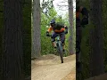Download Lagu Budget Hardtail MTB vs Downhill Trails! #mtb #trekmarlin6 #downhillmtb
