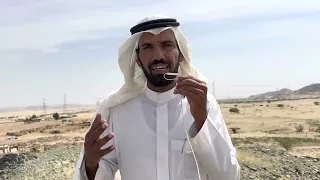                                                               دندنها