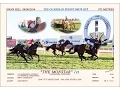 2014 Swan Hill The Guardian Court Hero Sprint BM78 Handicap