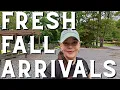 Download Lagu New Shrub Arrivals - Fresh Fall Landscaping Inspiration