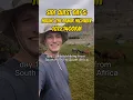 Download Lagu Day 104 of hitchhiking from South Korea to South Africa!