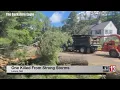 Man killed by falling tree in Berkshire County