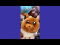 Thrifting for Flipping 956 Flipz Style Goodwill Brownsville texas