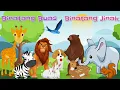 Download Lagu BELAJAR MENGENAL BINATANG BUAS DAN JINAK | 3LS