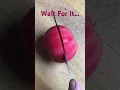 Not an Ordinary Apple apple