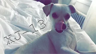 Introducing Chance XJ-13