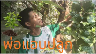 พ่อแอบปลูกอะไรไว้หลังบ้าน !! (ต้นน้ำ)
