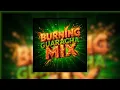 Música De Antro 2025 - Burning - Amal Nemer | Dj Nomo P&R | Guaracha - Aleteo - Afrohouse Tech House