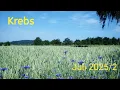 Download Lagu Krebs Juli 2025/2 # Im Zwiespalt mit einem Angebot