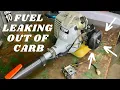 ECHO SRM210 - New Carb and Fuel Lines