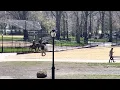 Central Park Park Rangers