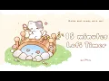 15 minutes - Relax study with me Lofi Cat on bridge