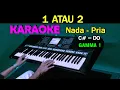Download Lagu 1 ATAU 2 - Gamma 1 | KARAOKE Nada Pria, HD