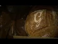 Durham bakery steps up offering free bread to SNAP recipients