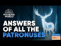 Answers of All the Patronuses Wizarding World Hogwarts Legacy - 2024