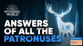 Answers of All the Patronuses Wizarding World Hogwarts Legacy - 2024