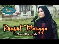 Download Lagu RUMPUT TETANGGA - Noer Halimah Music Dangdut Lawas Cover by Novaliana