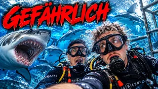 DAS ERSTE MAL mit HAIEN SCHWIMMEN🦈🤣 (Abu Dhabi Vlog) | JamooTv