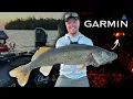 What WALLEYES Look Like on Garmin LIVESCOPE Real Footage TIPS