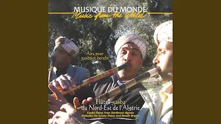                    دندنها
