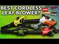 Best Leaf Blower EGO Milwaukee Ryobi Stihl Best Leaf Blower 2024