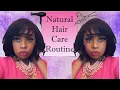 Dominican Blowout and Layer Cut on 4C Hair
