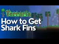 How to Get Shark Fins in Terraria