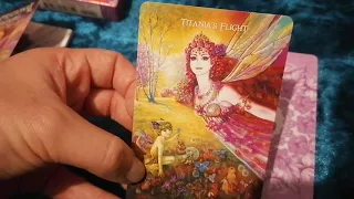 Inspirational Wisdom From Angels And Fairies Frances Munro 44 Card Deck With A Booklet Review 