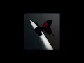 Post Malone - Lemon Tree 1 Hour Extended