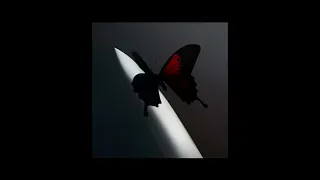Post Malone - Lemon Tree 1 Hour Extended