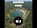Lagu ARTUR DJ - RADAWA SONG