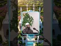 Download Lagu 𝚓𝚊𝚗𝚐𝚊𝚗 𝚖𝚎𝚗𝚢𝚎𝚛𝚊𝚑.. 𝚒𝚗𝚒 𝚞𝚓𝚒𝚊𝚗.. #dakwah #ustadzkhalidbasalamah #podcast #danielmananta #motivasi