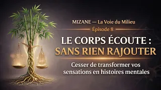 Épisode 8 — Hypersensibilité et ancrage du système nerveux   écouter sans rien rajouter
