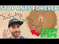 Download Lagu Make Your Yard ANT FREE FOREVER In 3 Easy Steps