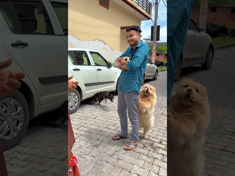 Kali ke baccho 😍 ko maggi se milwaya #cutepuppy #dog #streetdog