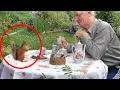 Download Lagu When Animal Distribution System Chooses You🤪 Funny Animals Videos 2025