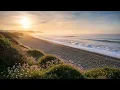 Serene Pebble Beach Nature s Tranquil Escape - Natural Soundscapes