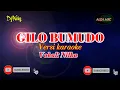 Download Lagu Gilo bumudo/ versi karaoke vokal nilka