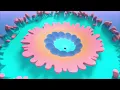 Panda Bear - Boys Latin (Official Video)