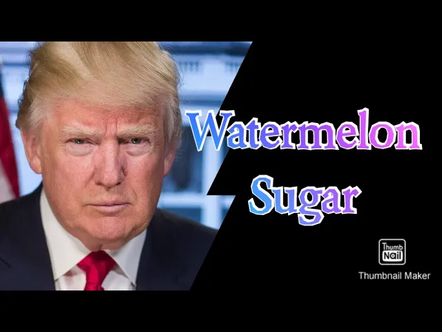 Harry Styles - Watermelon Sugar (Donald Trump Cover)