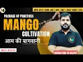 Mango Cultivation Mango Gardening Mango Farming Fruit Crop Cultivation