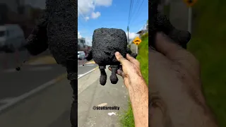 This Toy Was IMPOSSIBLE To Clean 