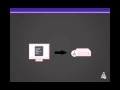 Overview of Code Manager in Puppet Enterprise 3 8
