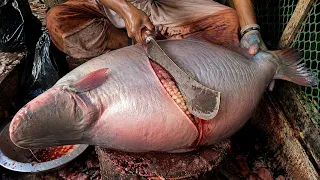 Amazing Cutting Skills || Big Pangas Fish Cleaning & Cutting By Expert Fish Cutter