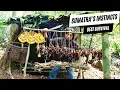 Download Lagu 4 DAYs Solo Survival(NO FOOD, NO WATER, NO SHELTER) - Shelter, Traps, Honeybee, Medicinal Plants