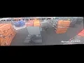 Shoe Carnival Theft