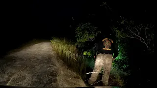 Searching for Pythons - 2022 Python Challenge