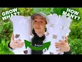 High vs Low Density Aeroponic Towers How To Use Them Tower Garden Tower Farms