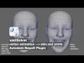 vastSolver Maya plugin - vertex animation to skin and joints